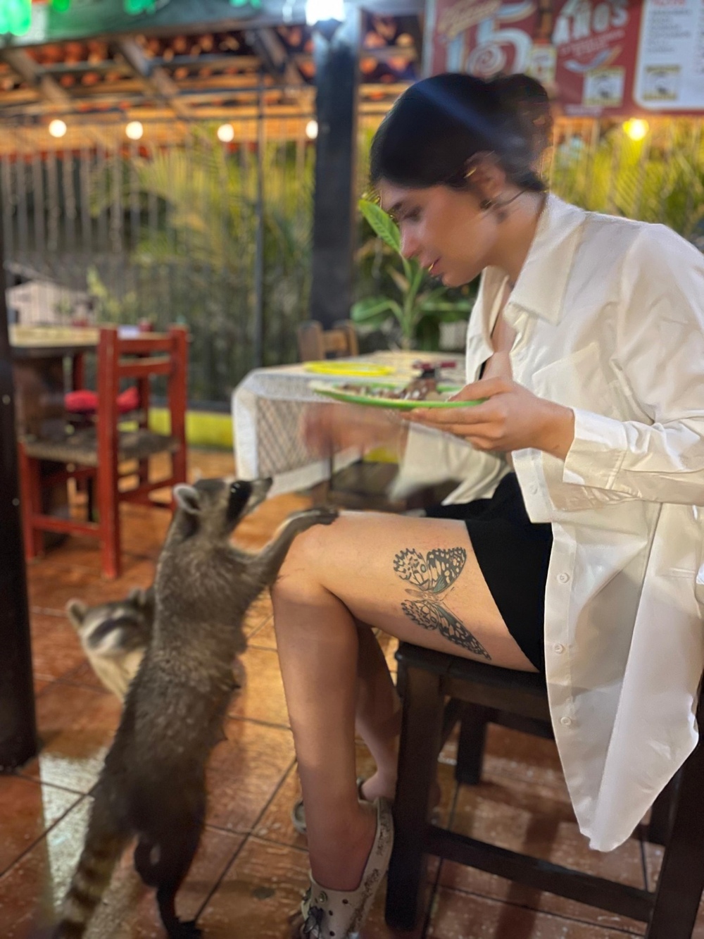 A. Fuentes viaje a México